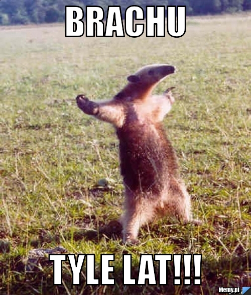 Brachu tyle lat!!!