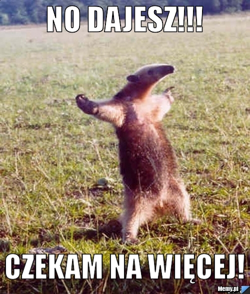 NO DAJESZ!!! CZEKAM NA WIĘCEJ!