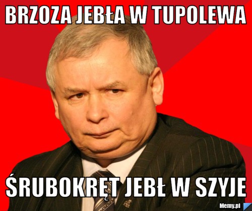 BRZOZA JEBŁA W TUPOLEWA ŚRUBOKRĘT JEBŁ W SZYJE 