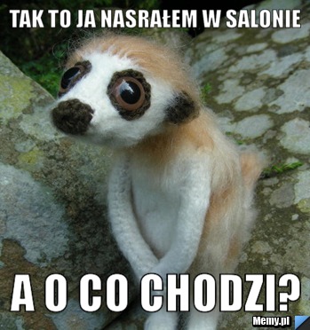 Tak to ja nasrałem w salonie a o co chodzi?