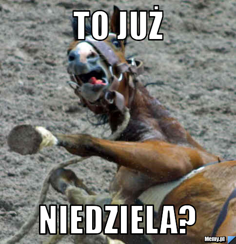 To już NIEDZIELA?