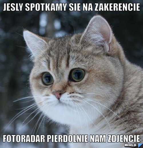 Jesly spotkamy sie na zakerencie FOTORADAR PIERDOLNIE NAM ZDJENCIE