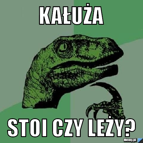 Kałuża stoi czy leży?