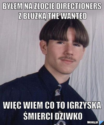 Byłem na zlocie Directioners z bluzką The Wanted Więc wiem co to igrzyska śmierci dziwko