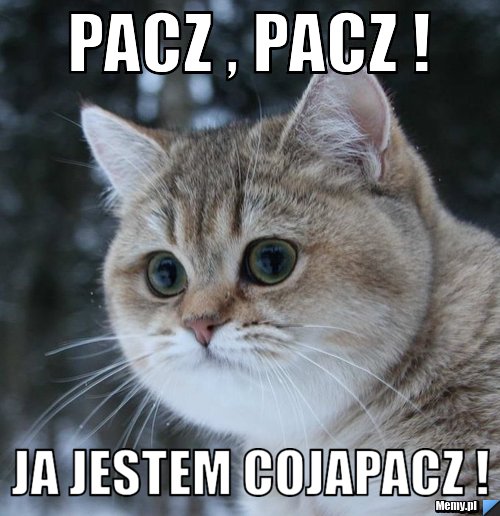 Pacz , pacz ! Ja jestem Cojapacz !
