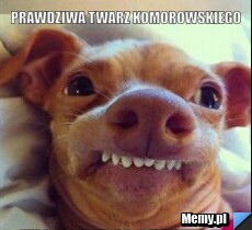 Prawdziwa twarz komorowskiego 
