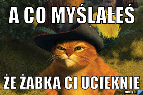 A co myślałeś że żabka ci ucieknie