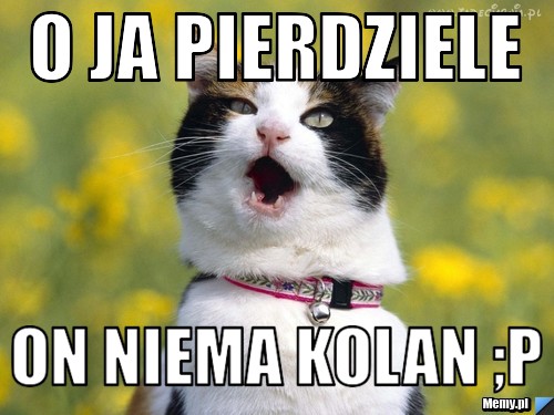 O ja pierdziele  on niema kolan ;p