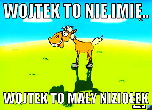 Wojtek to nie imię.. Wojtek to mały niziołek