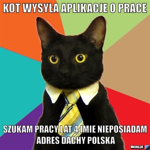 Kot wysyła aplikacje o prace szukam pracy lat 4 imie nieposiadam adres dachy polska