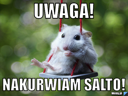 Uwaga! nakurwiam salto!