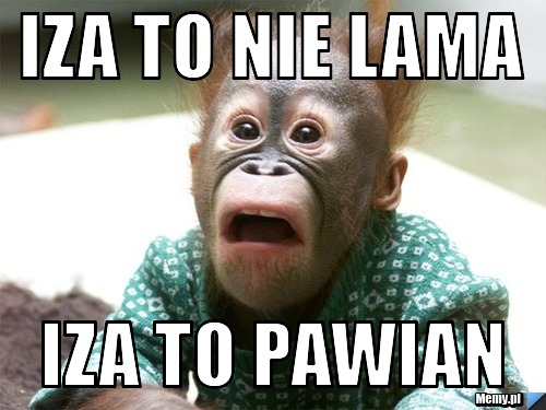 Iza to nie lama  iza to pawian