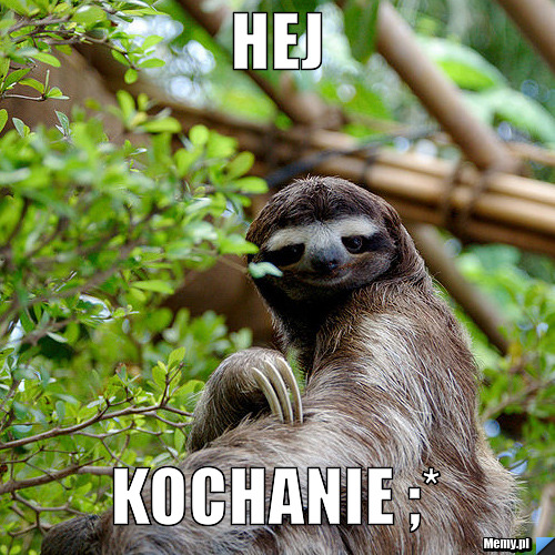 Hej  kochanie ;*