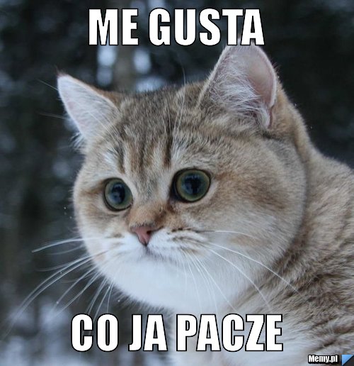 Me gusta  co ja pacze 