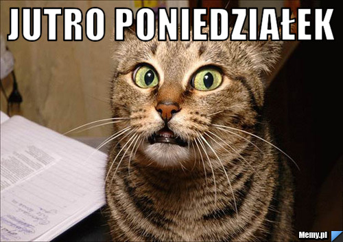 Jutro poniedziałek 