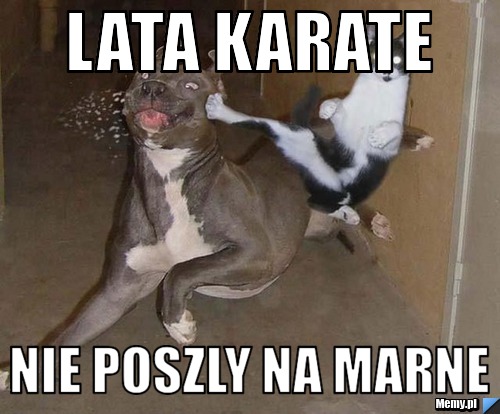 Lata karate nie poszly na marne