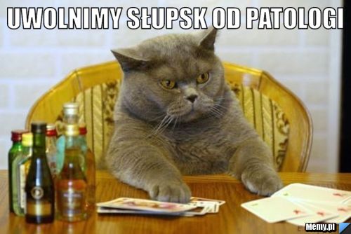 Uwolnimy Słupsk od patologi 