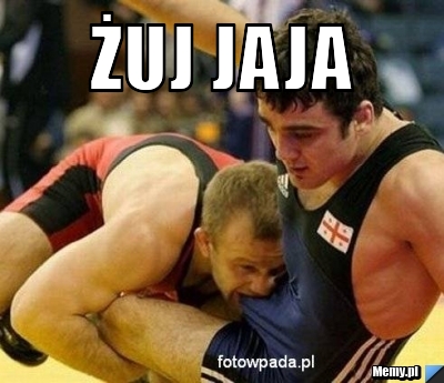 Żuj jaja 