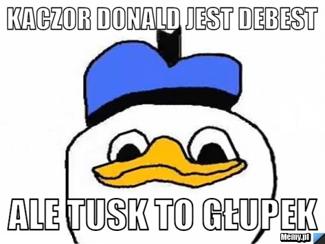 Kaczor donald jest debest ale tusk to głupek