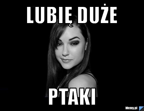 Lubię duże Ptaki