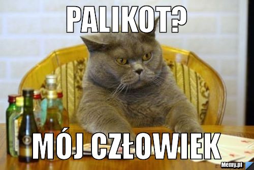 Palikot? Mój człowiek