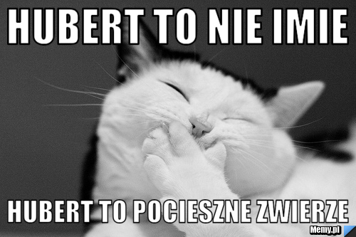Hubert to nie imie hubert to pocieszne zwierze 