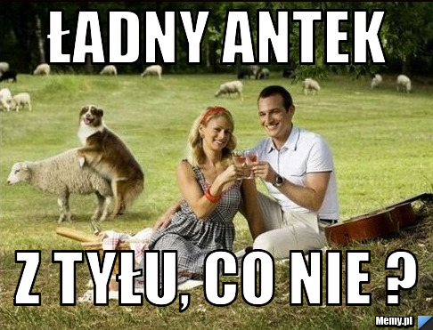 Ładny Antek  Z tyłu, co nie ?