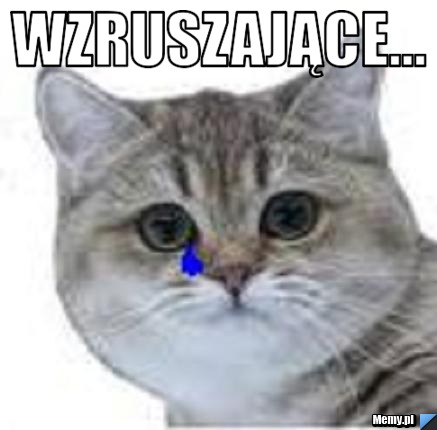 Wzruszające... 