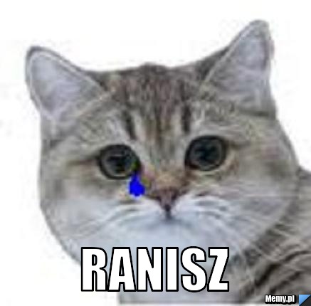  ranisz