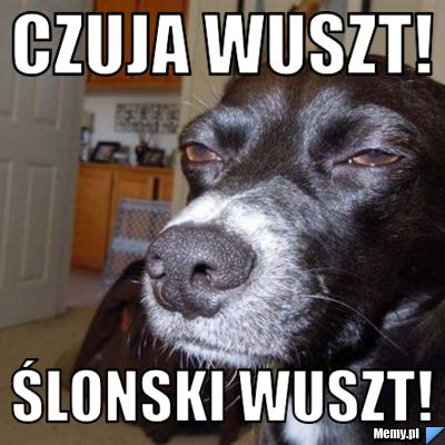 Czuja wuszt! ślonski wuszt!