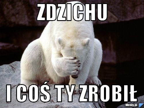 Zdzichu  i coś ty zrobił