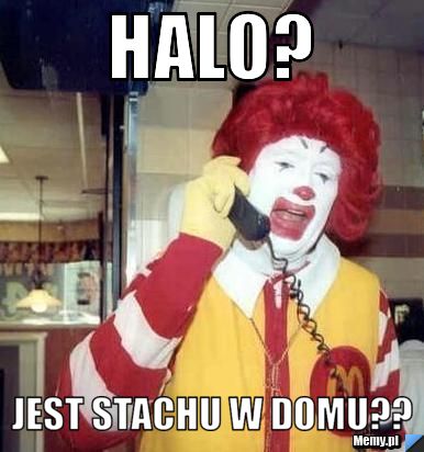 Halo? jest stachu w domu??