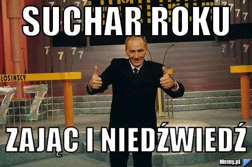 Suchar roku  zając i niedźwiedź
