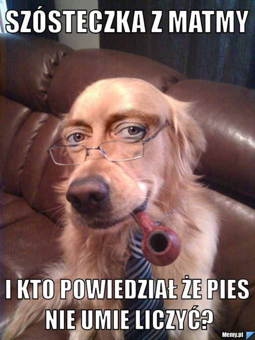 Sz&oacute;steczka z matmy i kto powiedział że pies nie umie liczyć?