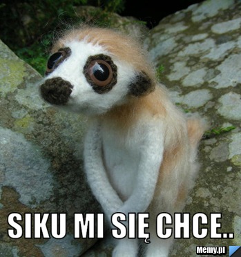  siku mi się chce..