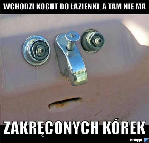 Wchodzi kogut do łazienki, a tam nie ma zakręconych kórek