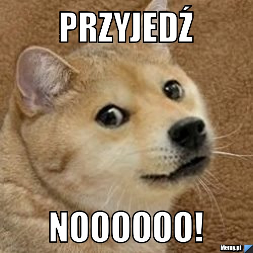 PRZYJEDŹ NOOOOOO!