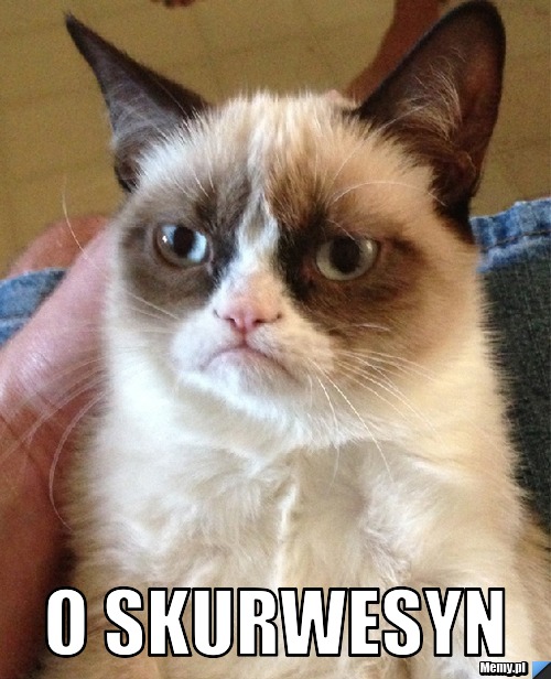  o skurwesyn