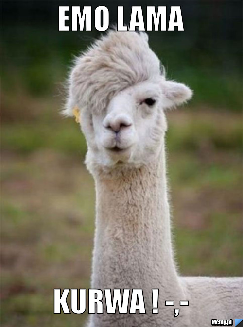 EMO LAMA KURWA ! -,-