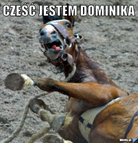 Cześć jestem Dominika 
