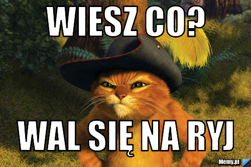 WIESZ CO? WAL SIĘ NA RYJ