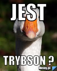 Jest Trybson ?