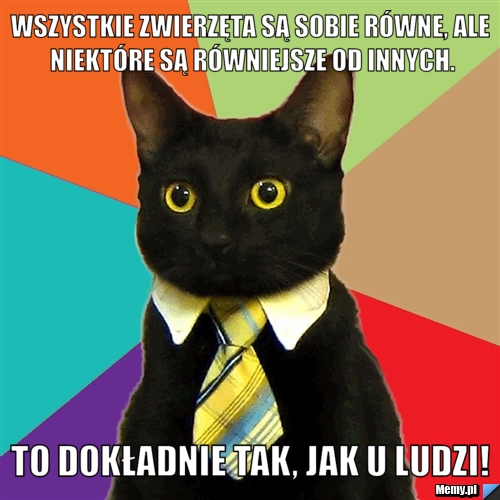 Wszystkie zwierzęta są sobie równe, ale niektóre są równiejsze od innych. to dokładnie tak, jak u ludzi!