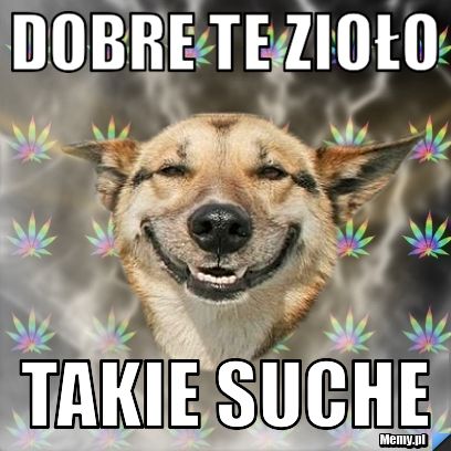 Dobre te zioło takie suche