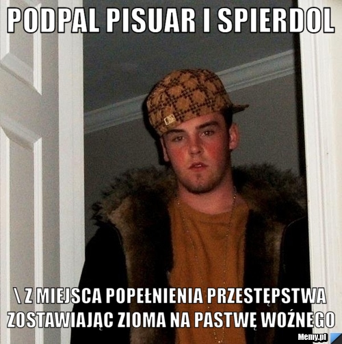 PODPAL PISUAR I SPIERDOL \ Z MIEJSCA POPEŁNIENIA PRZESTĘPSTWA ZOSTAWIAJĄC ZIOMA NA PASTWĘ WOŹNEGO