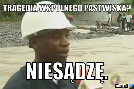 Tragedia wspólnego pastwiska? niesądzę.