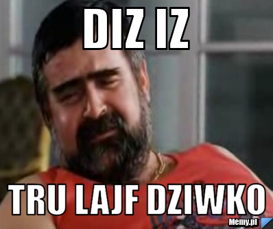 DIZ iz  tru lajf dziwko