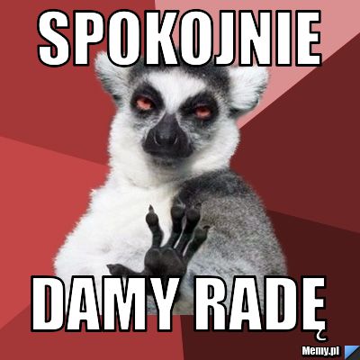 Spokojnie damy radę