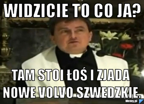 Widzicie to co ja? tam stoi łoś i zjada nowe volvo szwedzkie.