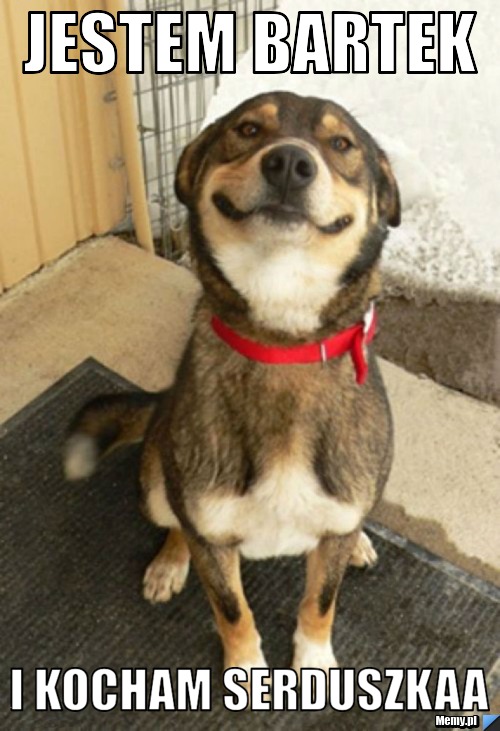 JESTEM BARTEK  I KOCHAM SERDUSZKAA 